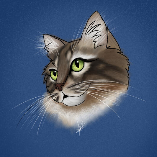 Toshi-Retrato de Gato